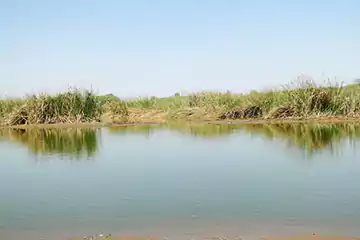 Explore Lingambudhi Lake!